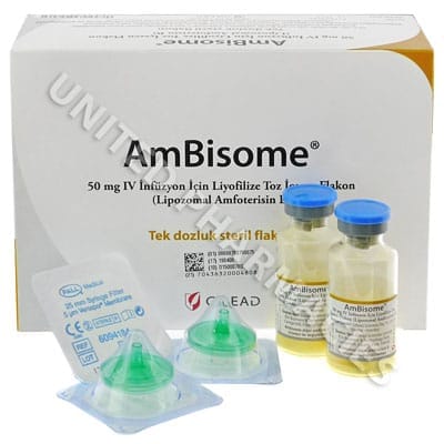 AMBISOME 50 MG 1 FLAKON 1 AMBISOME 50 MG 1 FLAKON 19415