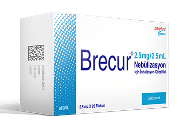 BRECUR 2,5 MG 2,5 ML NEBULIZASYON ICIN INHALASYON COZELTISI (20 FLAKON ) 1 BRECUR 25 MG 25 ML NEBULIZASYON ICIN INHALASYON COZELTISI 20 FLAKON 20116
