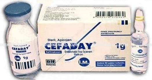 CEFADAY IM 1 GR 1 FLAKON 1 CEFADAY IM 1 GR 1 FLAKON 28226