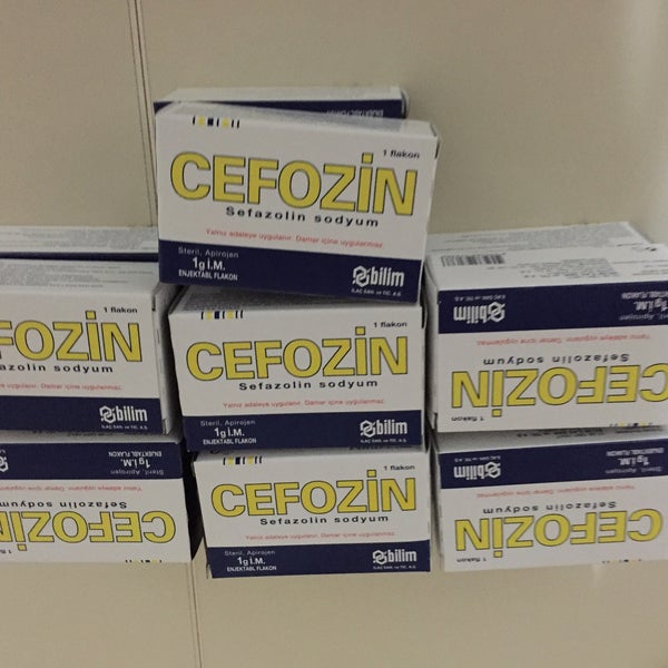 CEFOZIN IM LID. 1000 MG 1 FLAKON 1 CEFOZIN IM LID. 1000 MG 1 FLAKON 28288