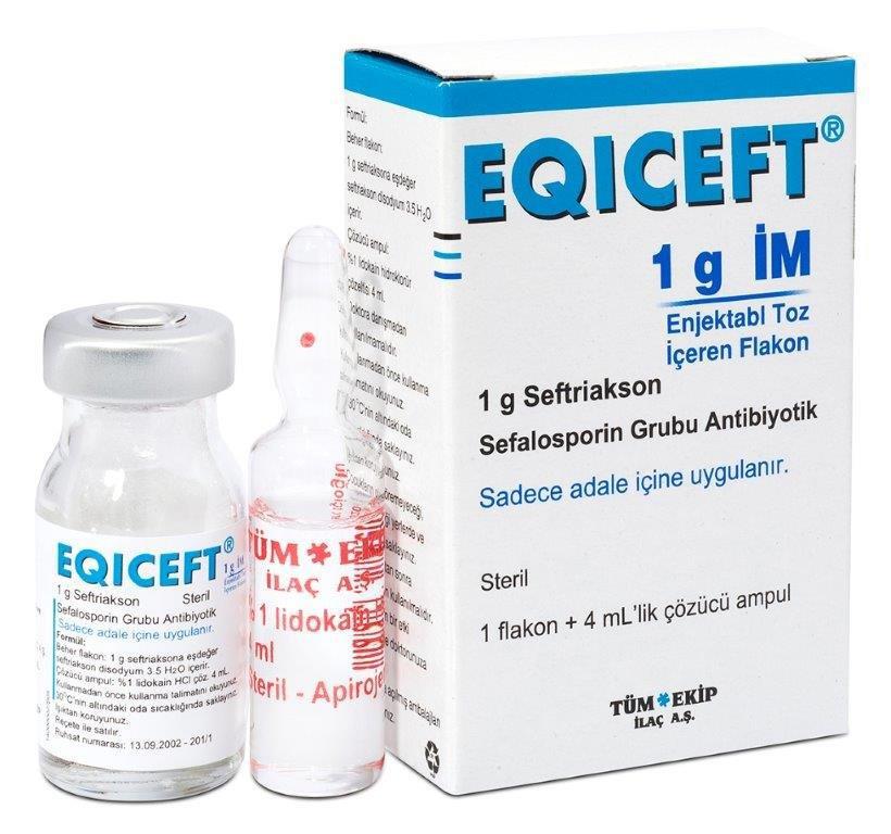 EQICEFT- IM 1000 MG 1 FLAKON 1 EQICEFT IM 1000 MG 1 FLAKON 21420