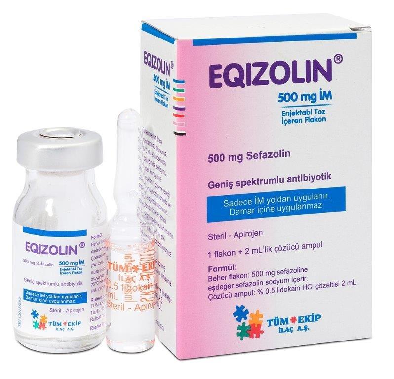 EQIZOLIN- IM 500 MG 1 FLAKON 1 EQIZOLIN IM 500 MG 1 FLAKON 29579