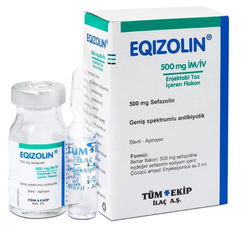 EQIZOLIN- IM/IV 500 MG 1 FLAKON 1 EQIZOLIN IM IV 500 MG 1 FLAKON 21428