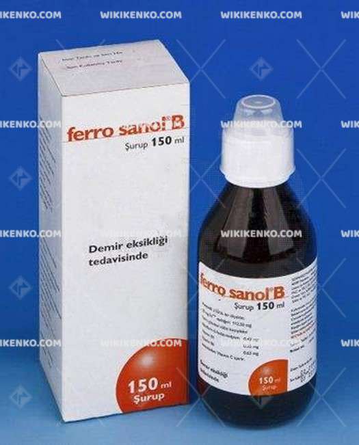 FERRO SANOL B 150 ML SURUP 1 FERRO SANOL B 150 ML SURUP 29868