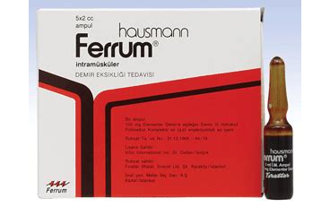 FERRUM HAUSMANN 100 MG 5 AMPUL 1 FERRUM HAUSMANN 100 MG 5 AMPUL 21654