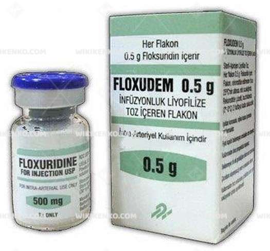FLOXUDEM 0,5 GR INFUZYONLUK LIYOFILIZE TOZ ICEREN FLAKON 1 FLOXUDEM 05 GR INFUZYONLUK LIYOFILIZE TOZ ICEREN FLAKON 29949