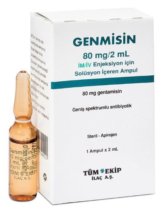 GENMISIN 80 MG 1 AMPUL 1 GENMISIN 80 MG 1 AMPUL 21965
