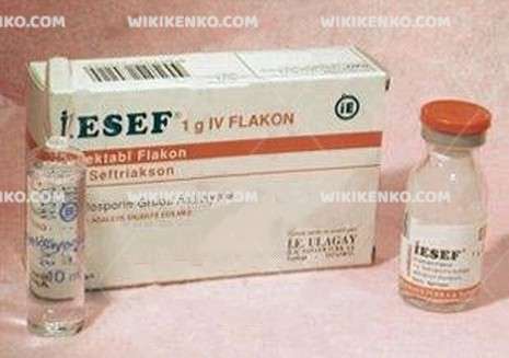 IESEF IV 1 GR IV 1 FLAKON 1 IESEF IV 1 GR IV 1 FLAKON 22284
