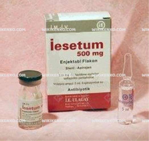 IESETUM IM/IV+ERT 500 MG 1 FLAKON 1 IESETUM IM IVERT 500 MG 1 FLAKON 22285