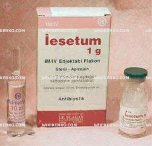 IESETUM IV/IM 10 ML 1 FLAKON 1 IESETUM IV IM 10 ML 1 FLAKON 22286