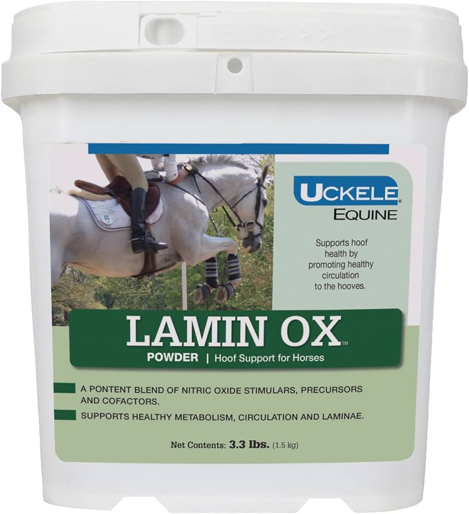 LAMINOX 250 MG 14 TABLET 1 LAMINOX 250 MG 14 TABLET 31307