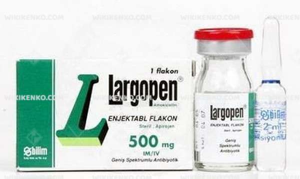 LARGOPEN IM/IV 500 MG 1 FLAKON 1 LARGOPEN IM IV 500 MG 1 FLAKON 31325
