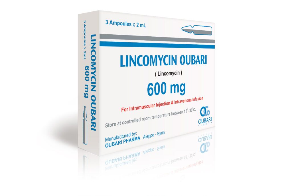 LINCOCIN 2 ML 600 MG 1 AMPUL 1 LINCOCIN 2 ML 600 MG 1 AMPUL 31505