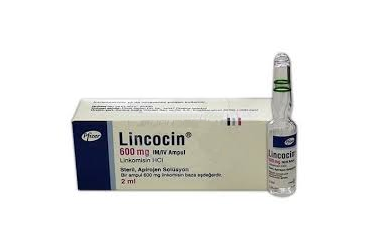 LINCOCIN 600 MG/2 ML IM/IV ENJEKSIYONLUK COZELTI (1 AMPUL) 1 LINCOCIN 600 MG 2 ML IM IV ENJEKSIYONLUK COZELTI 1 AMPUL 23011