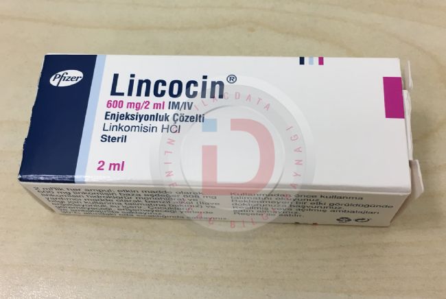 LINKOMED 600 MG/2 ML ENJEKSIYONLUK COZELTI ( 1 AMPUL) 1 LINKOMED 600 MG 2 ML ENJEKSIYONLUK COZELTI 1 AMPUL 31513