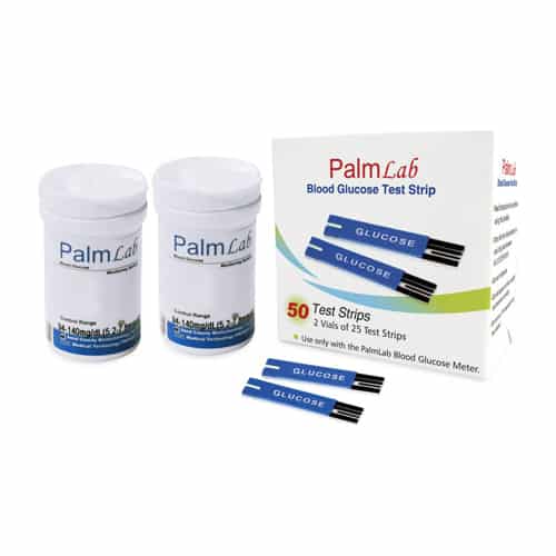 PALMLAB BLOOD GLUCOSE TEST STRIPS 1 PALMLAB BLOOD GLUCOSE TEST STRIPS 33103