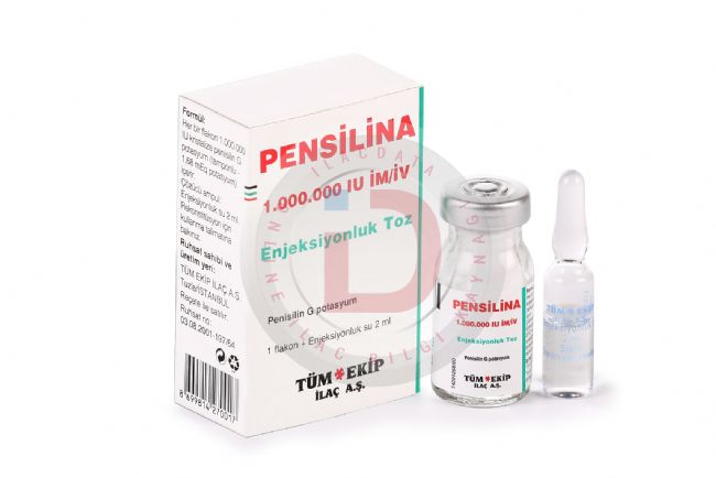 PENSILINA 1E+06 IU 1 FLAKON 1 PENSILINA 1E06 IU 1 FLAKON 24302