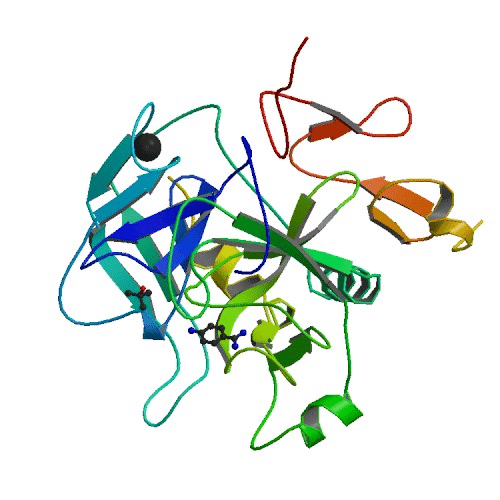 REBLENINE VF 500 IU FAKTOR IX 1 FLAKON 1 REBLENINE VF 500 IU FAKTOR IX 1 FLAKON 33846