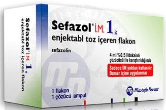 SEFAZOL IM 1 GR 1 FLAKON 1 SEFAZOL IM 1 GR 1 FLAKON 25321