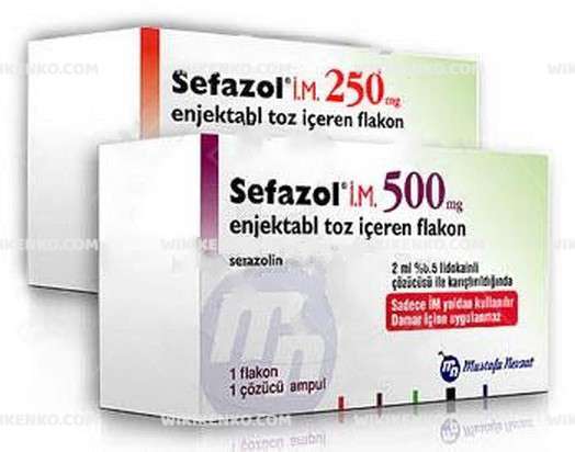 SEFAZOL IM 250 MG 1 FLAKON 1 SEFAZOL IM 250 MG 1 FLAKON 25322
