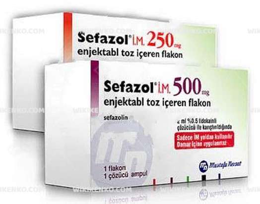 SEFAZOL IM 500 MG 1 FLAKON 1 SEFAZOL IM 500 MG 1 FLAKON 25323