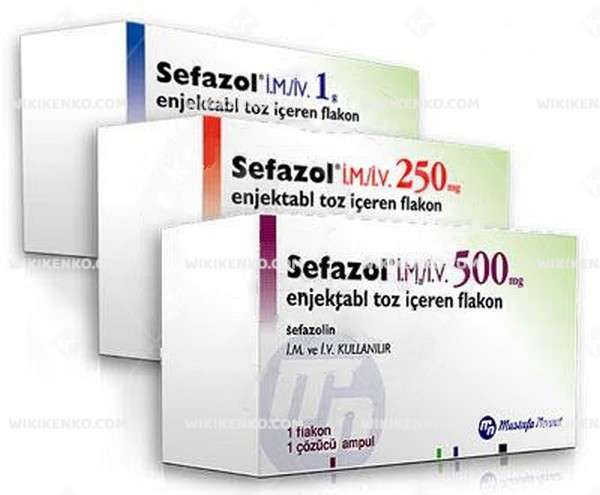 SEFAZOL IV 500 MG 1 FLAKON 1 SEFAZOL IV 500 MG 1 FLAKON 34403