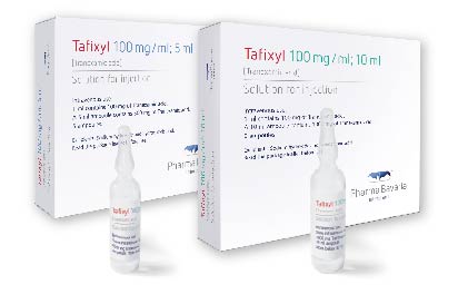 TRANSAMINE A/H IV ENJ. COZELTI 10 AMPUL 1 TRANSAMINE A H IV ENJ. COZELTI 10 AMPUL 26012