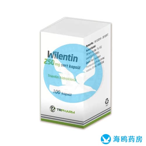 WILENTIN 250 MG SERT KAPSUL ( 100 KAPSUL) 1 WILENTIN 250 MG SERT KAPSUL 100 KAPSUL 26449